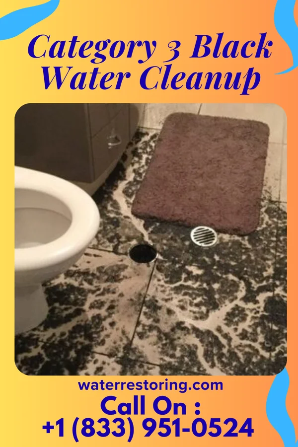 Category 3 Black Water Cleanup in Geneva, IN