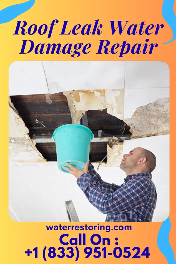 Roof Leak Water Damage Repair in Geneva, IN