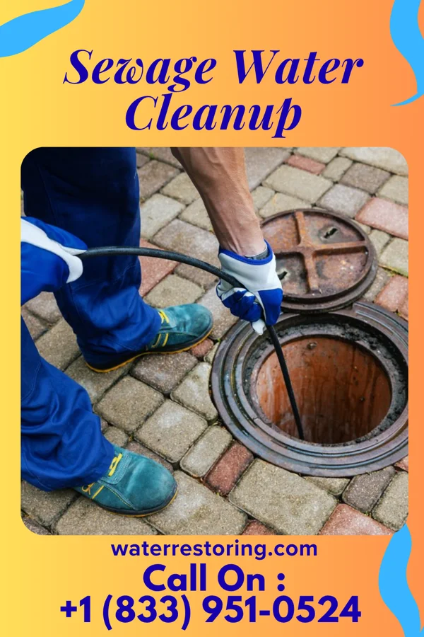 Sewage Water Cleanup in Geneva, IN